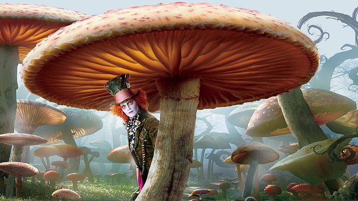 Alice In The Wonderland Mad Hatter digital wallpaper, Alice in Wonderland, mushroom, Mad Hatter, Johnny Depp, HD wallpaper