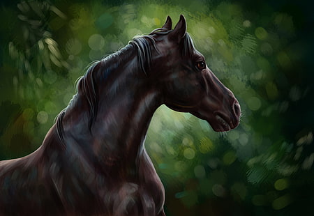 papier peint cheval brun et noir, cheval, huile, art, aquarelle, crayon, peinture, gouache, fond d'écran, peinture, forêt, cheval noir, étalon noir, Fond d'écran HD HD wallpaper