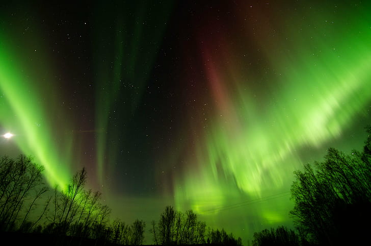 foto das luzes da Aurora, Observando, foto, Wickersham, Cúpula, Aurora Boreal, Aurora Boreal, Fairbanks ALaska, noite, aurora Boreal, Aurora Polaris, estrela - Espaço, natureza, espaço, HD papel de parede