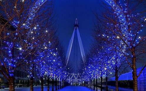 Night Illumination, Ferris Wheel, Beautifully, HD wallpaper HD wallpaper