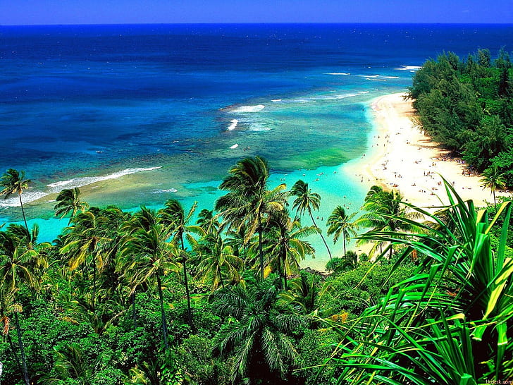 Corner of the beach in Hawaii, Beach, Hawaii, HD wallpaper
