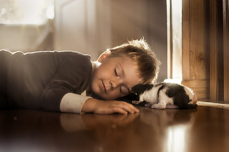 mały chłopiec, dzieci, kot, zwierzęta, ludzie, Tapety HD HD wallpaper