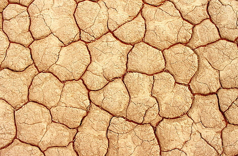 Cracked Earth, brown soil, Elements, Earth, nature, parched, cracked, soil, HD wallpaper HD wallpaper