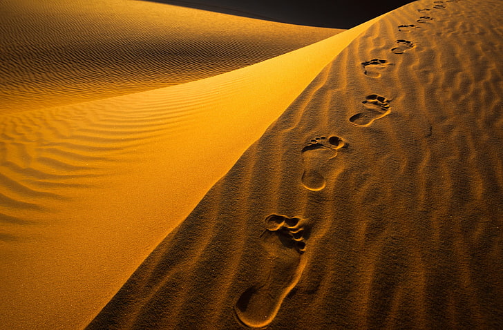 การถ่ายภาพทะเลทราย, วอลล์เปเปอร์ HD