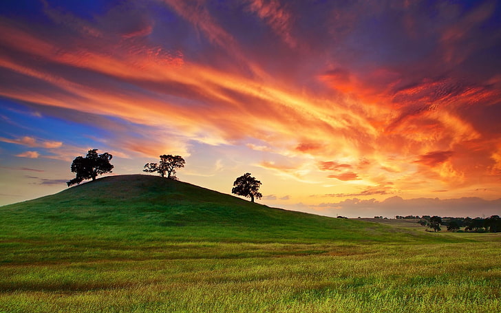 california sunset spring-Scenery HD Wallpaper, grass field, HD wallpaper