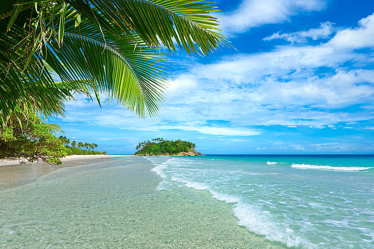 beach shore, plants, landscape, tropical, sea, palm trees, beach, clouds, HD wallpaper
