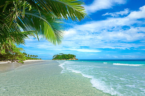 praia, plantas, paisagem, tropical, mar, palmeiras, praia, nuvens, HD papel de parede HD wallpaper