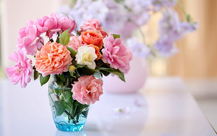 Natura morta da tavolo, rose, composizione floreale in vaso, scrivania, natura morta, rose, vaso, fiore, disposizione, Sfondo HD