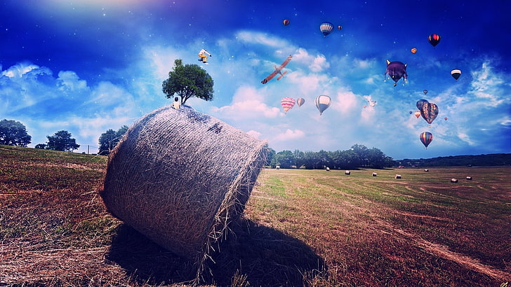 hay, field, hot air balloons, digital art, landscape, trees, HD wallpaper
