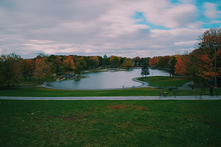 Mont-Royal, Montreal, Quebec, Kanada, musim gugur, alam, lanskap, kolam, dedaunan, Wallpaper HD