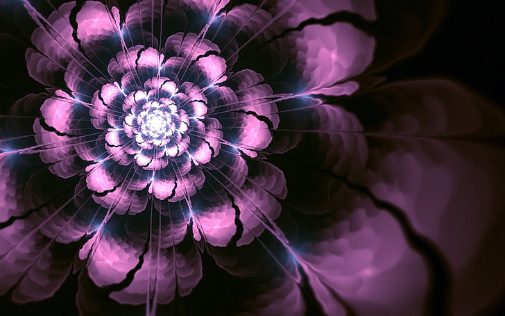 fond d'écran d'explosion rose et noir, art, résumé, fleur, Fond d'écran HD