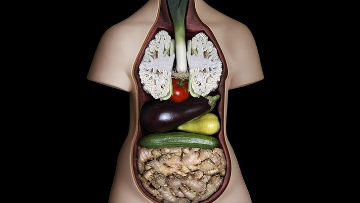 human anatomy dummy, figurines, vegetables, Guts, humor, anatomy, cucumbers, black background, HD wallpaper