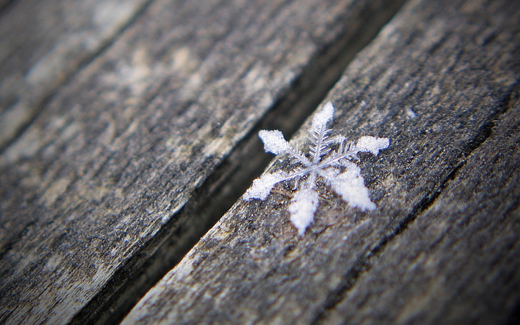 fiocco di neve bianco, fiocco di neve, superficie, di legno, bianco nero, Sfondo HD