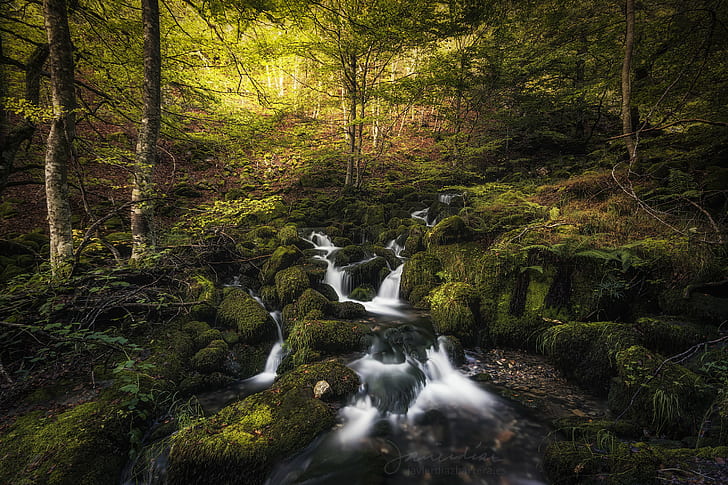 photography of stream between green tall trees, Recordando, photography, stream, trees, de, León, arroyo, creek, Beech forest, agua, water, árboles, landscape, Javier Díaz, Barrera, es, Sigma, Sony, A77, nature, forest, waterfall, tree, river, outdoors, moss, scenics, beauty In Nature, woodland, green Color, leaf, HD wallpaper