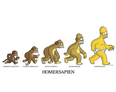 Homer The Simpsons Homersapien White Evolution HD, desenho animado / história em quadrinhos, branco, evolução, simpsons, homer, homersapien, HD papel de parede HD wallpaper