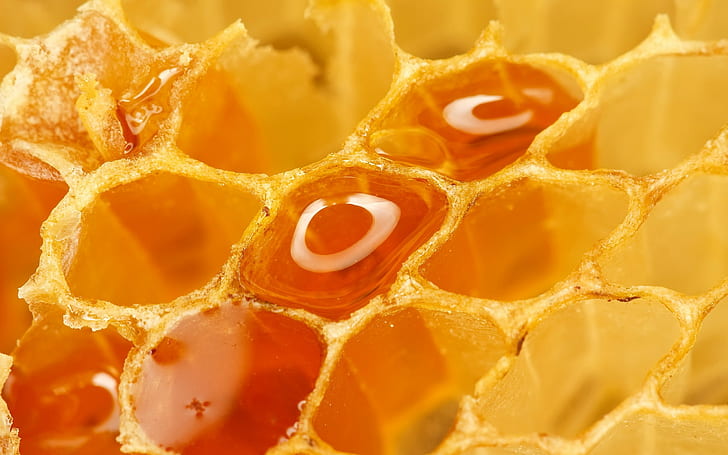 Honeycomb Honey Macro Orange HD, naturaleza, macro, naranja, panal, miel, Fondo de pantalla HD