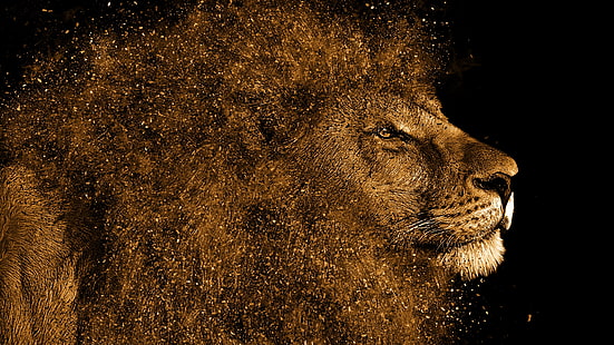 ライオン、頭、デジタルアート、大きな猫、暗い、 HDデスクトップの壁紙 HD wallpaper