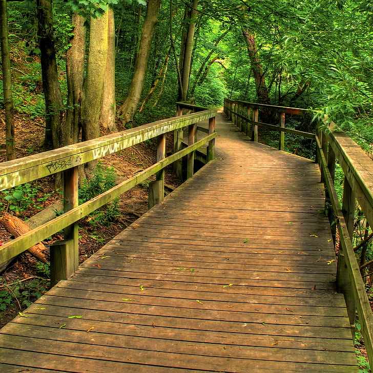 empty wooden footbridge in the middle of woods, toronto, toronto, ravine, path, HDR, empty, wooden, footbridge, middle, woods, Toronto  Ontario, Canada, nature, footpath, forest, tree, outdoors, wood - Material, landscape, boardwalk, scenics, woodland, green Color, HD wallpaper