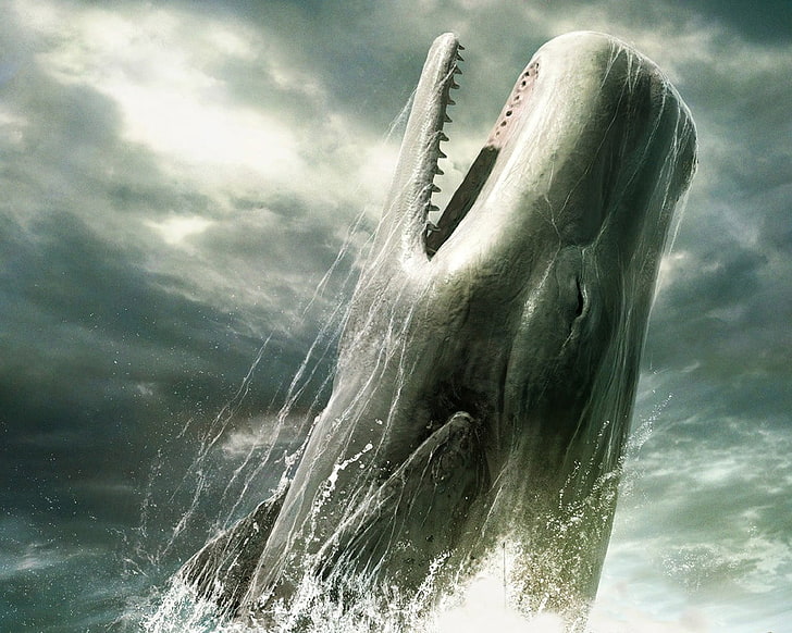 ภาพวาดนามธรรมขาวดำงานศิลปะวาฬสัตว์, วอลล์เปเปอร์ HD