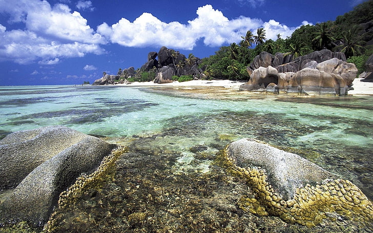 cuerpo verde de agua, arrecifes, excrecencias, costa, piedras, trópicos, Fondo de pantalla HD