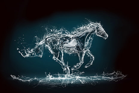 水馬イラスト、水、ホヤ、レンダリング、背景、馬、ジャンプ、 HDデスクトップの壁紙 HD wallpaper