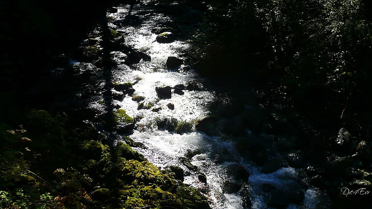 Galenca Creek, water, stream, river, widescreen, washington, creek, 3d and abstract, HD wallpaper