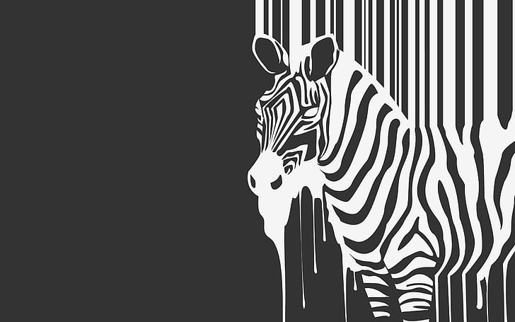 Zebras, Artwork, Black And White, zebra artwork image, zebras, artwork, black and white, HD wallpaper