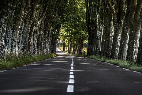 rodovia, paisagem, pista, natureza, estrada, estradas, rua, HD papel de parede HD wallpaper