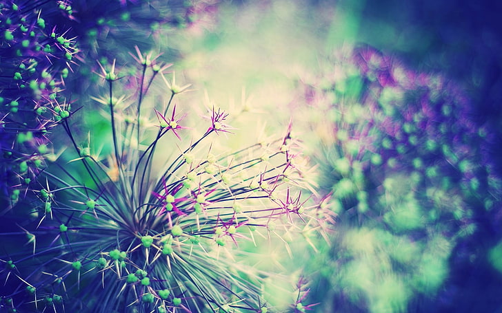 purple petaled flowers, grass, feathers, light, bright, HD wallpaper