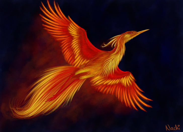 Fantasy Animals, Phoenix, Bird, Flight, Wings, HD wallpaper
