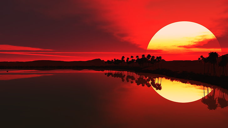 soleil orange, coucher de soleil, réflexion, soleil, lumière du soleil, arbres, eau, ciel, palmiers, rouge, Fond d'écran HD