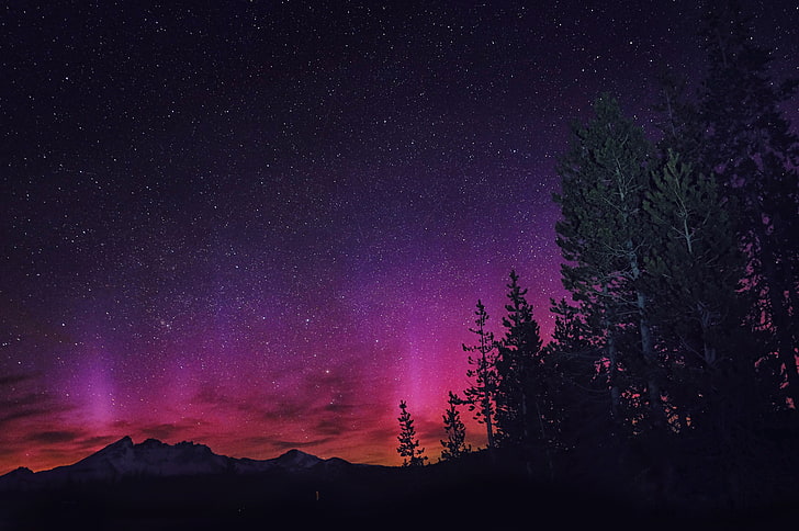 Aurora Borealis, manzara, gece, yıldız, doğa, pembe, ağaçlar, gökyüzü, HD masaüstü duvar kağıdı
