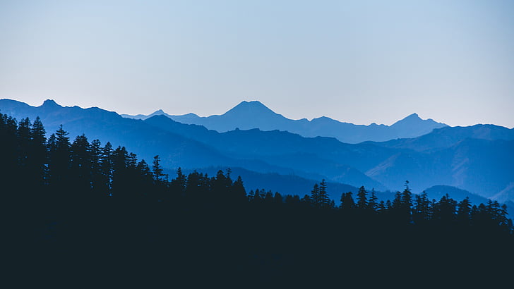 Nebel, Wald, See, Landschaft, Berg, Natur, Ultrahd, Tapete, HD-Hintergrundbild