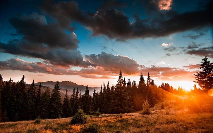 fotografía del bosque durante la puesta del sol, paisaje, naturaleza, puesta del sol, nubes, niebla, hierba, árboles, bosque, montañas, cielo, Fondo de pantalla HD