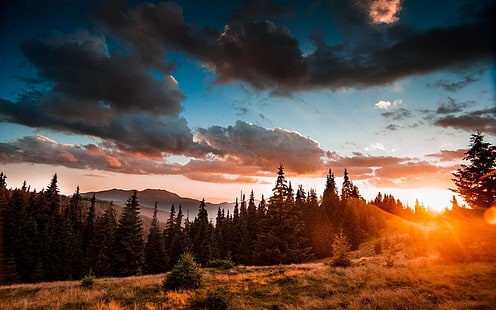 photographie forestière pendant le coucher du soleil, paysage, nature, coucher de soleil, nuages, brume, herbe, arbres, forêt, montagnes, ciel, Fond d'écran HD HD wallpaper