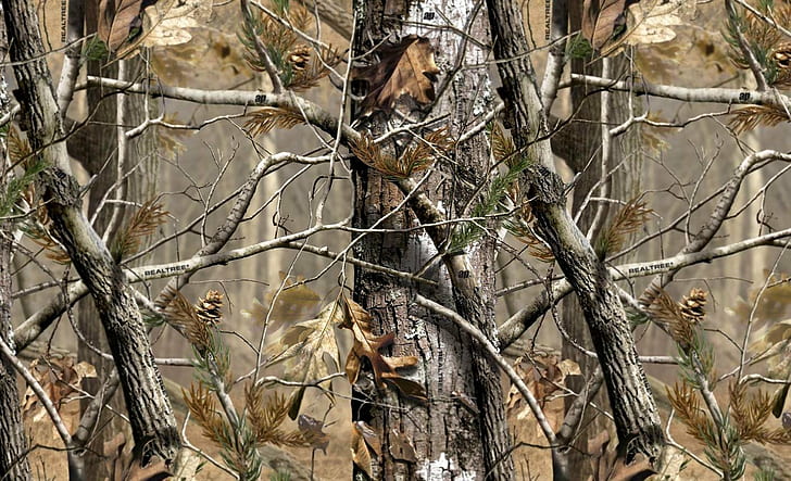 kamouflage skogsmark kamouflage, HD tapet