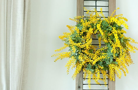Mimosa, Coroa De Flores, Amarelo, Parede, HD papel de parede HD wallpaper