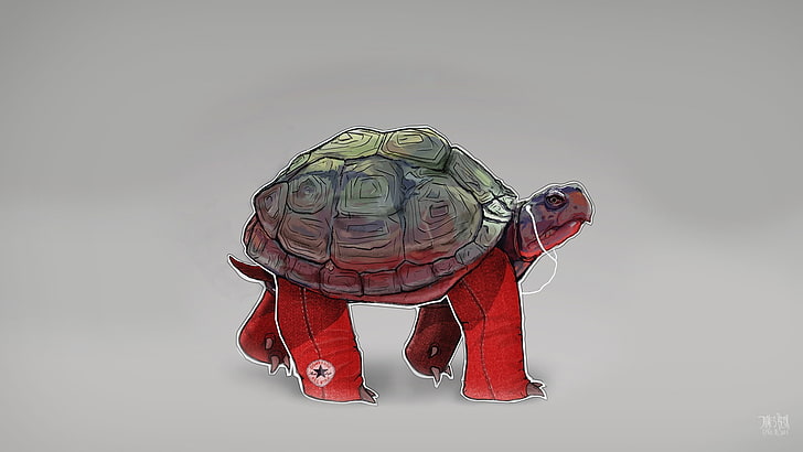 gray turtle painting, music, turtle, jeans, headphones, gait, shell, HD wallpaper