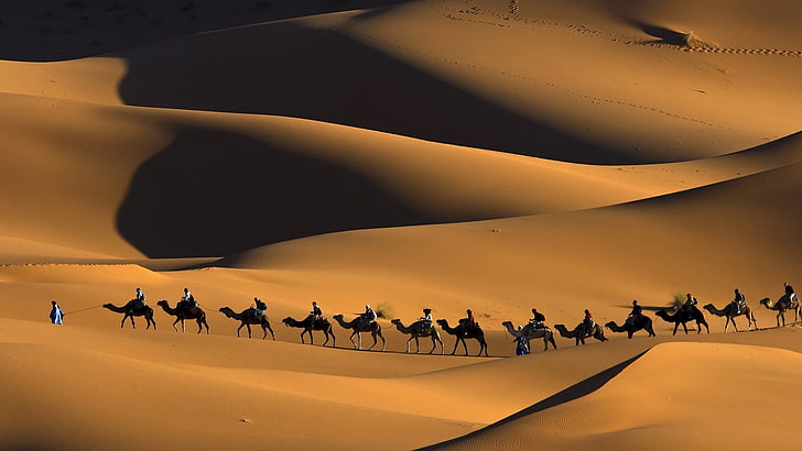 Africa, animals, Camels, Desert, Dune, Footprints, landscape, Morocco, nature, People, sand, shadow, Touaregs, HD wallpaper