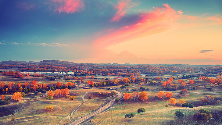 оранжевые и зеленые деревья, оранжевые листовые деревья под оранжевым и голубым небом, небо, пейзаж, красный, осень, природа, горизонт, облака, HD обои