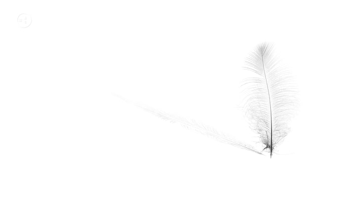 gray feather illustration, background, pen, color, HD wallpaper