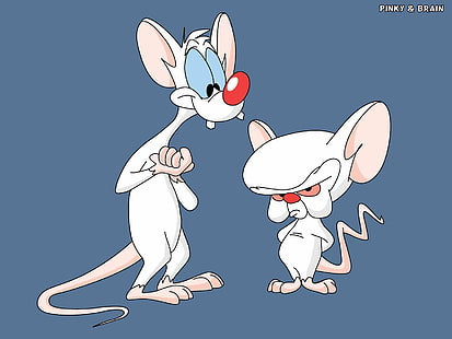 TV Show, Pinky And The Brain, HD wallpaper HD wallpaper