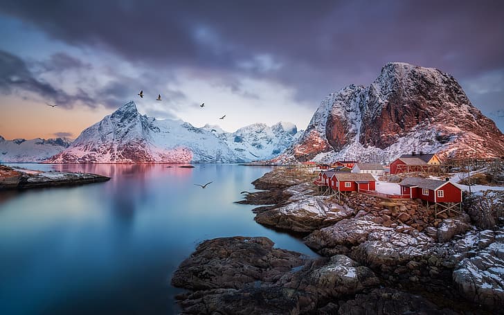 mountains, birds, rocks, Norway, the village, the fjord, The Lofoten Islands, HD wallpaper