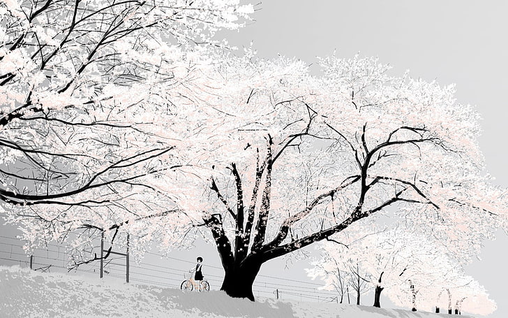 شجرة أزهار الكرز والأشجار والثلج، خلفية HD
