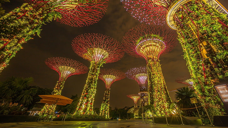 singapore, marina bay, garden, lights, night lights, night, supertree grove, gardens by the bay, asia, supertree, HD wallpaper