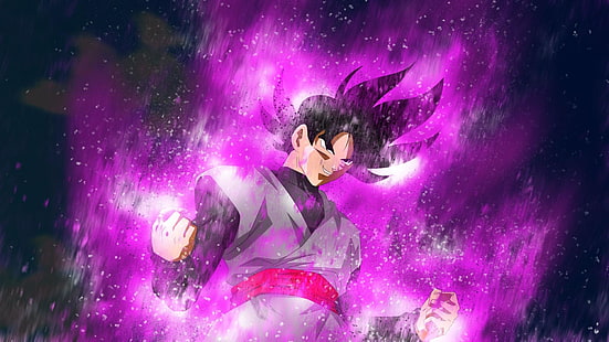 Blackgoku, Black Goku, Dragonballz, Dragonball, HD-Hintergrundbild HD wallpaper