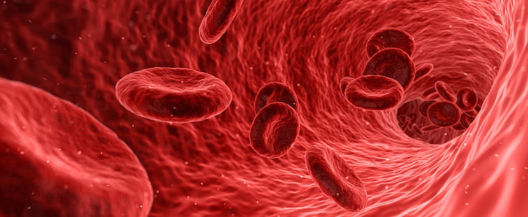 Red Blood Cells Microscope, Artistic, 3D, Blood, Care, Human, Flow, Macro, Plasma, Cells, Test, System, Science, Danger, Medical, Anatomy, hazard, micro, medicine, research, Biology, healthcare, biotechnology, scientific, health, analysis, risk, microbiology, bloodcells, artery, microscopic, vein, circulatory, pathology, bacteriology, microorganism, pathological, examination, organism, HD wallpaper HD wallpaper