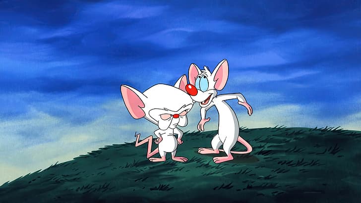 Pinky and the Brain, animation, cartoon, sky, grass, mouse (animal), production cel, Warner Brothers, HD wallpaper