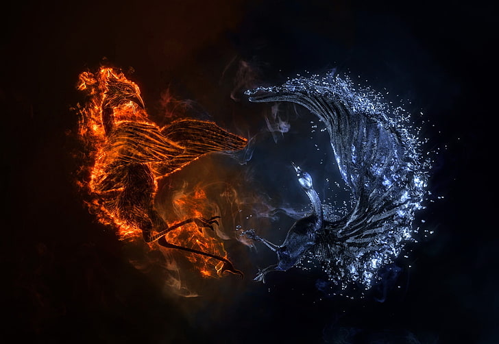 feu et eau élément illustration, bataille, oiseaux, feu, eau, Fond d'écran HD