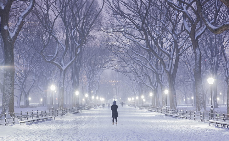 Central Park, New York City, Kış arka plan, siyah çıplak ağaçlar, Mevsim, Kış, Işıklar, Insanlar, Beyaz, Ağaçlar, Park, Kar, Sokak, Hava, Şemsiye, Kar fırtınası, New York, New Yorkcity, HD masaüstü duvar kağıdı